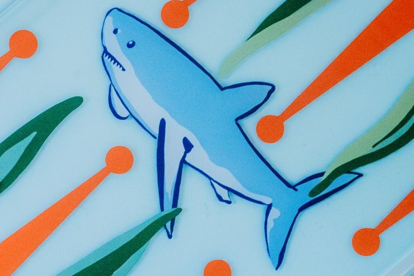 Portable Backgammon- Sharks